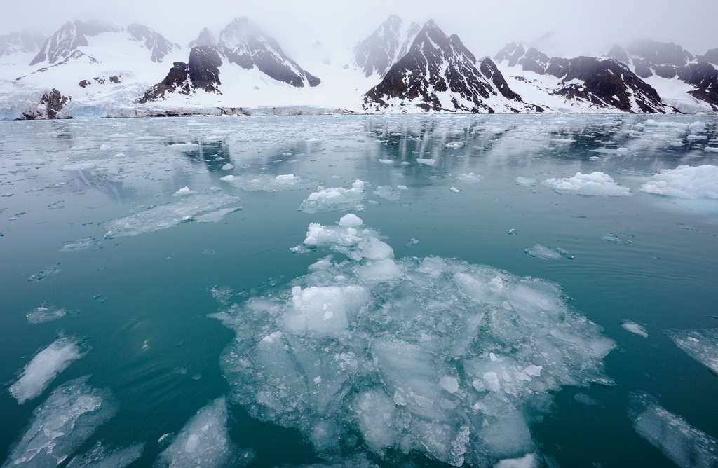 Fotoexpedition till isbjörnens rike, Svalbard. Fotoresa med Wild Nature fotoresor. Foto Staffan Widstrand