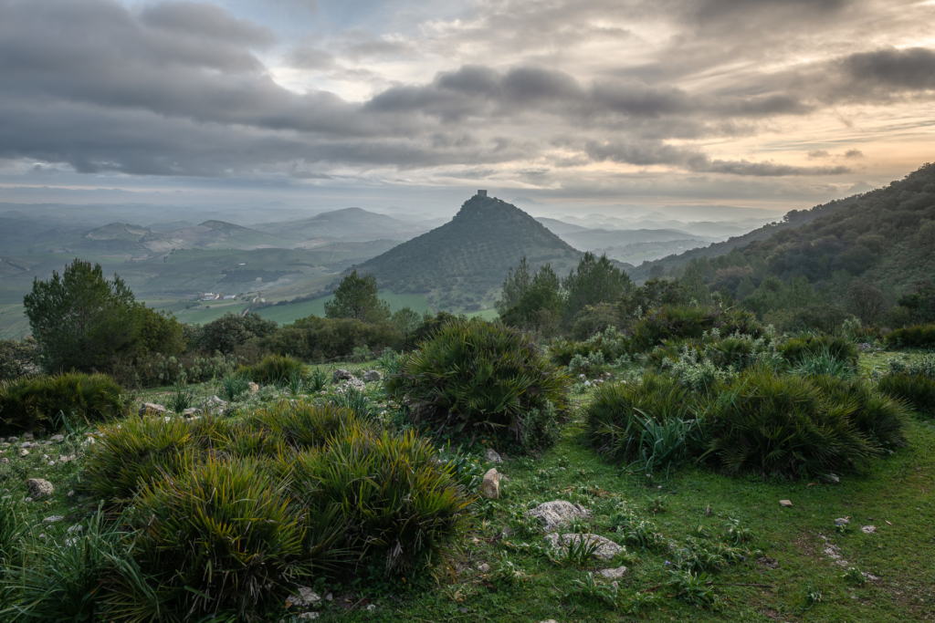 Mandelblom och böljande jordbrukslandskap i Andalusien, Spanien. Fotoresa med Wild Nature fotoresor. Foto Frida Hermansson