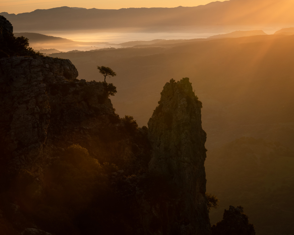 Mandelblom och böljande jordbrukslandskap i Andalusien, Spanien. Fotoresa med Wild Nature fotoresor. Foto Frida Hermansson