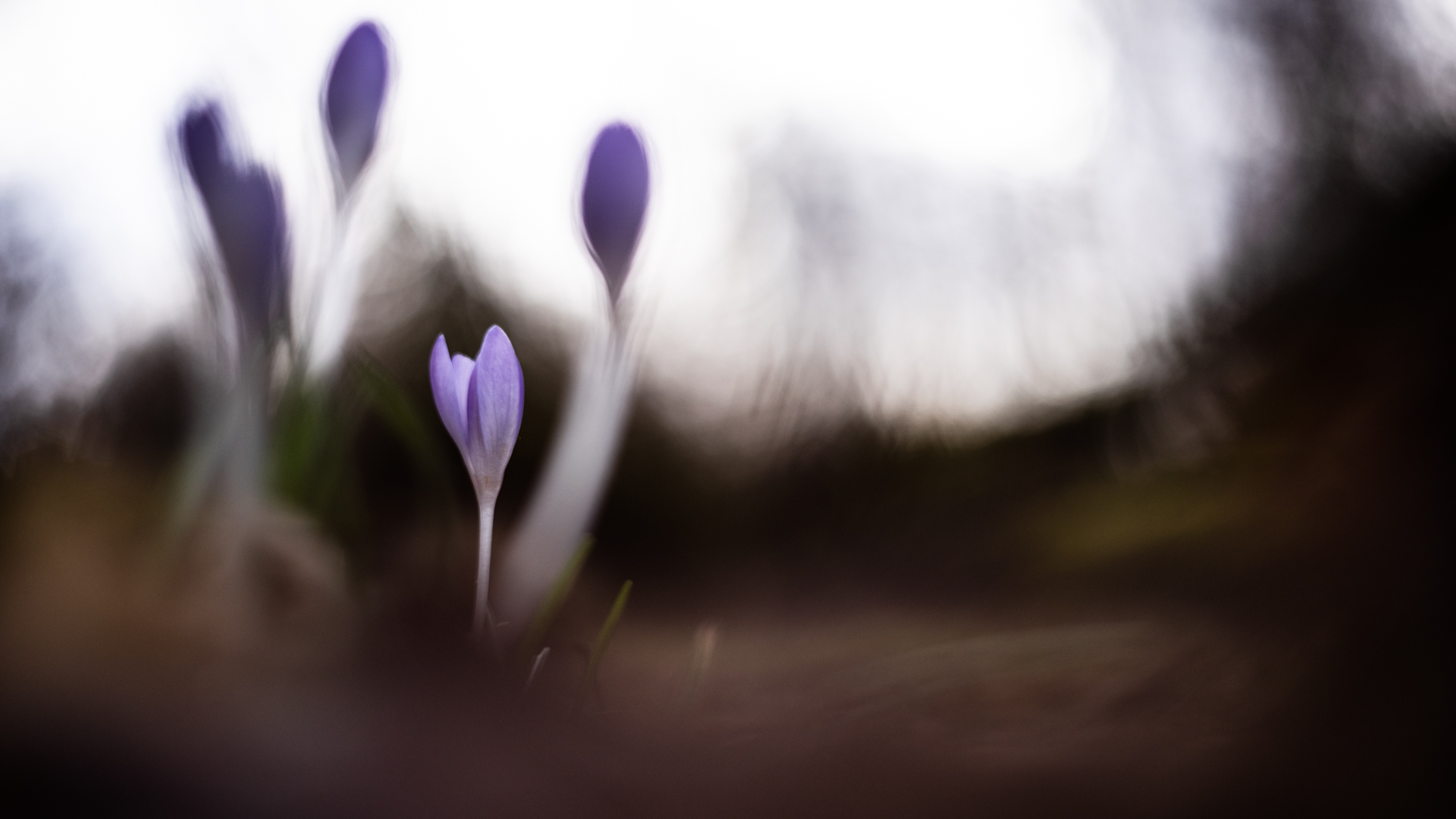 2019-03-03-Marie-K