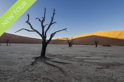 Desert landscapes, starry skies and exciting wildlife - Namibia. Photo tour Wild Nature Photo Adventures. Photo Henrik Karlsson
