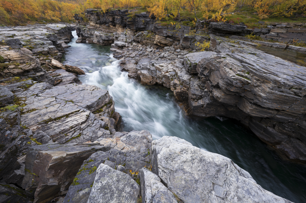 Höst i fjällvärlden - Abisko Nationalpark. Fotoresa med Wild Nature fotoresor. Foto Staffan Widstrand