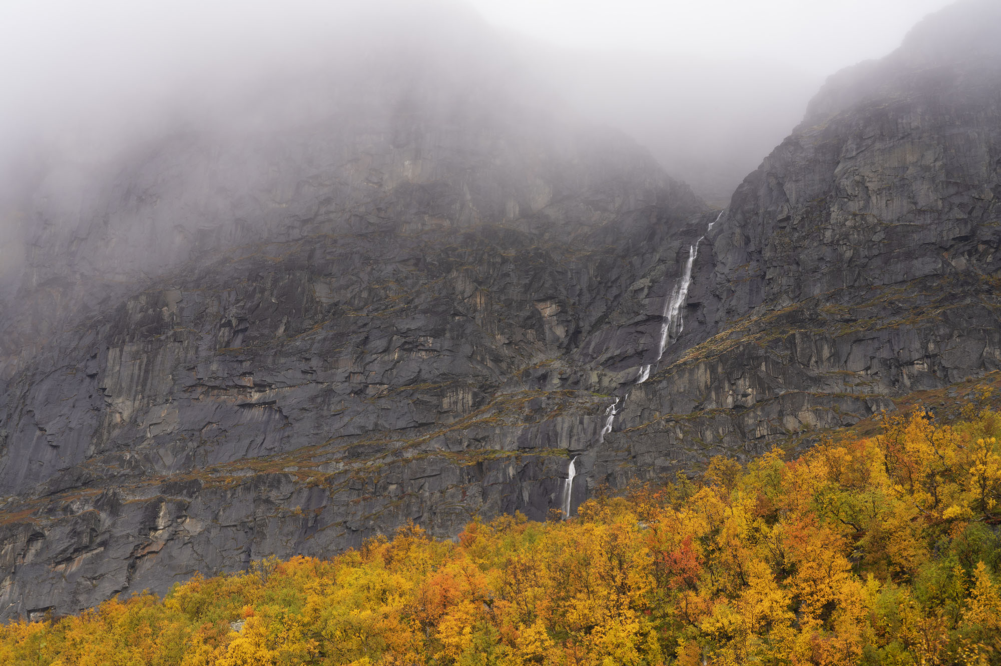 Moutain landscape and birch trees in autumn colours, Stora Sjoefallet National Park, Laponia Unesco World Heritage Site, Norrbotten, Lapland, Sweden