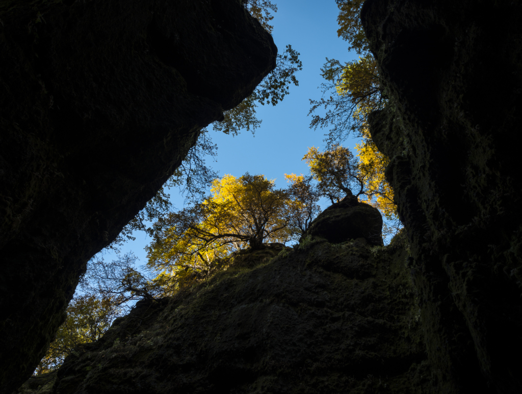 Höst i på höglandet Island. Fotoresa med Wild Nature fotoresor. Foto Frida Hermansson