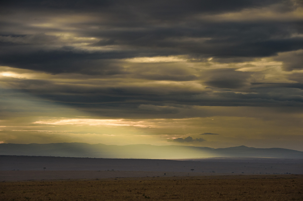Landskap i Masai Mara, Kenya. Fotoresa med Wild Nature fotoresor.