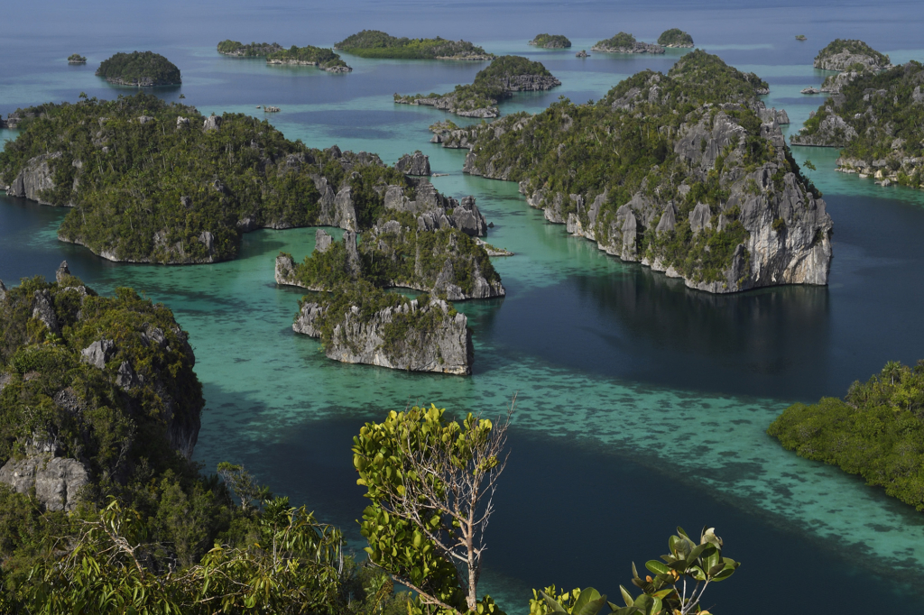 Snorklingsexpedition i korallhavet, Raja Ampat. Fotoresa med Wild Nature fotoresor. Foto Staffan Widstrand