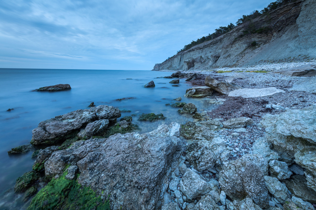 Kustnära fotografi och vårgrönska på kalkstensön - Gotland. Fotoresa med Wild Nature fotoresor. Foto Frida Hermansson