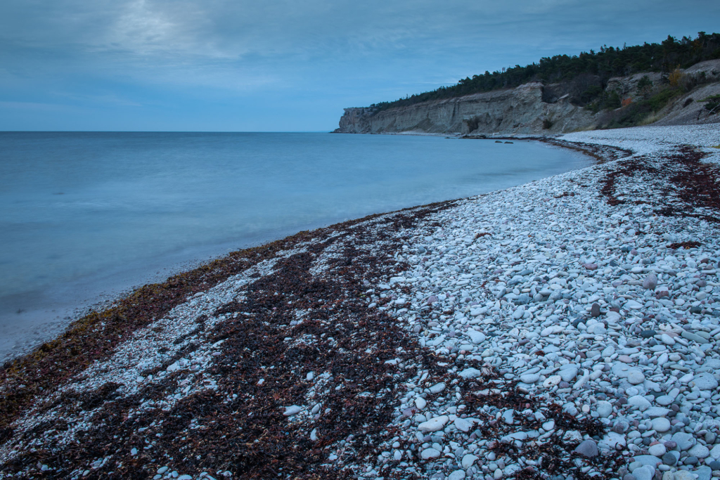 Kustnära fotografi och vårgrönska på kalkstensön - Gotland. Fotoresa med Wild Nature fotoresor. Foto Frida Hermansson