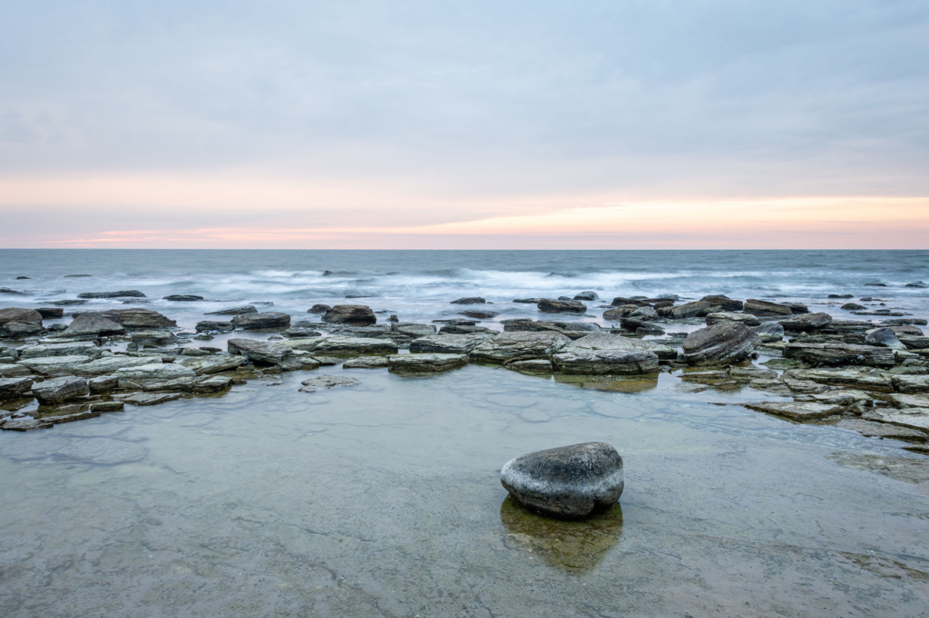 Kustnära fotografi och vårgrönska på kalkstensön - Gotland. Fotoresa med Wild Nature fotoresor. Foto Frida Hermansson