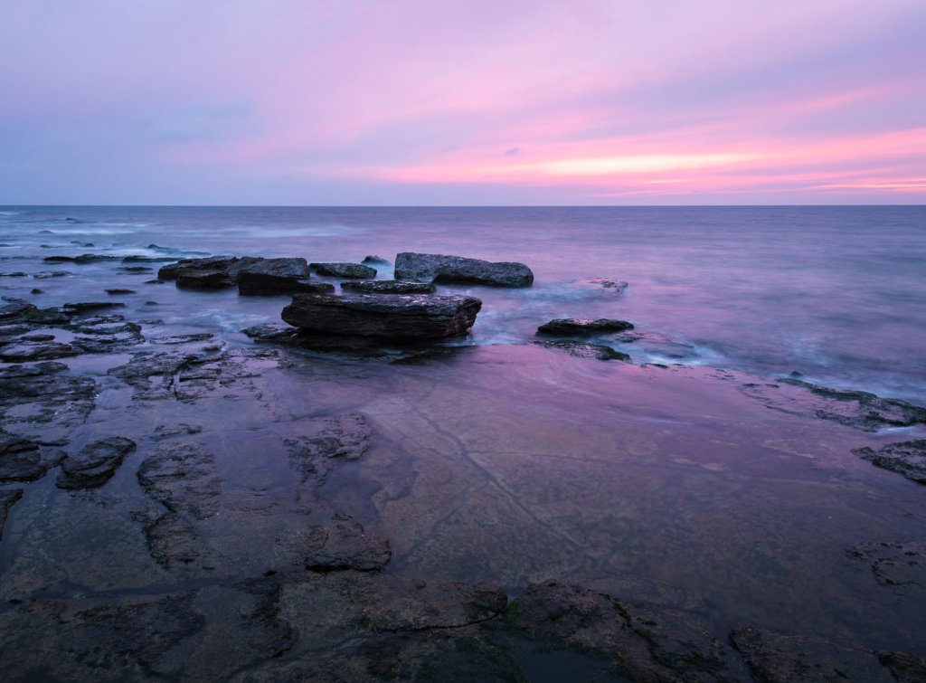 Kustnära fotografi och vårgrönska på kalkstensön - Gotland. Fotoresa med Wild Nature fotoresor. Foto Frida Hermansson