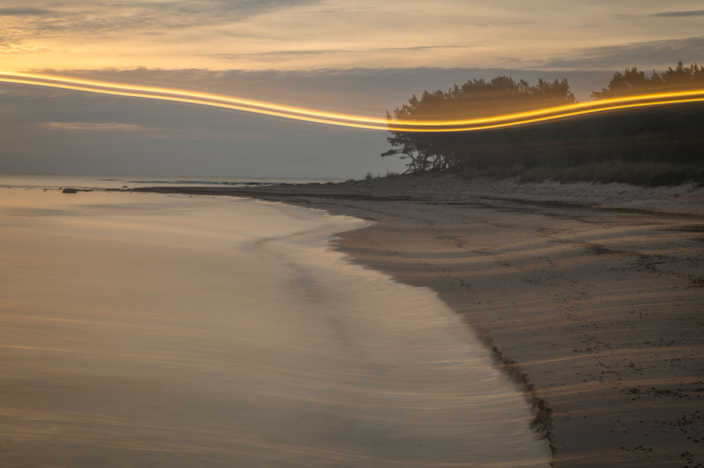 Kustnära fotografi och vårgrönska på kalkstensön - Gotland. Fotoresa med Wild Nature fotoresor. Foto Frida Hermansson