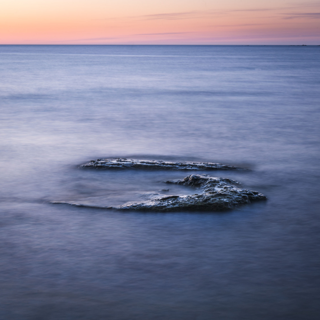 Kustnära fotografi och vårgrönska på kalkstensön - Gotland. Fotoresa med Wild Nature fotoresor. Foto Frida Hermansson