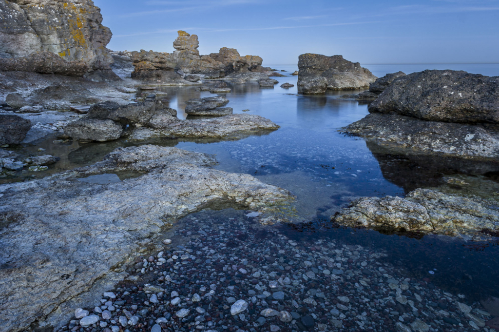 Kustnära fotografi och vårgrönska på kalkstensön - Gotland. Fotoresa med Wild Nature fotoresor. Foto Frida Hermansson