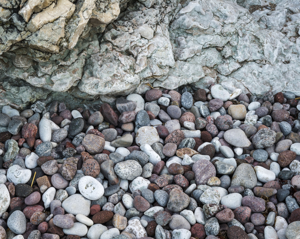 Kustnära fotografi och vårgrönska på kalkstensön - Gotland. Fotoresa med Wild Nature fotoresor. Foto Frida Hermansson