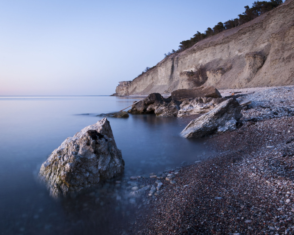 Kustnära fotografi och vårgrönska på kalkstensön - Gotland. Fotoresa med Wild Nature fotoresor. Foto Frida Hermansson