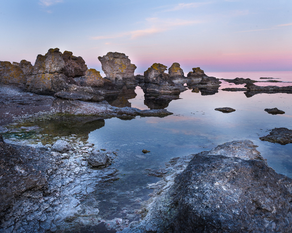 Kustnära fotografi och vårgrönska på kalkstensön - Gotland. Fotoresa med Wild Nature fotoresor. Foto Frida Hermansson