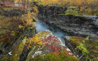 Höst i fjällvärlden - Abisko Nationalpark. Fotoresa med Wild Nature fotoresor. Foto Frida Hermansson