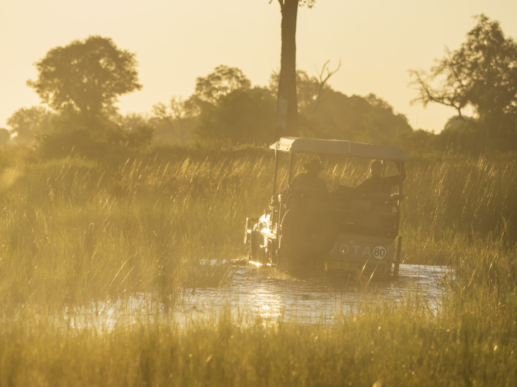 Emerald season i Okavangodeltat och Chobe floden, Botswana. Fotoresa med Wild Nature fotoresor. Foto: Henrik Karlsson