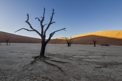 Ökenlandskap, stjärnhimlar och spännande djurliv - Namibia. Fotoresa med Wild Nature fotoresor. Foto: Henrik Karlsson