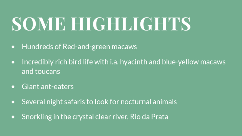 highlights_pantanal_extension