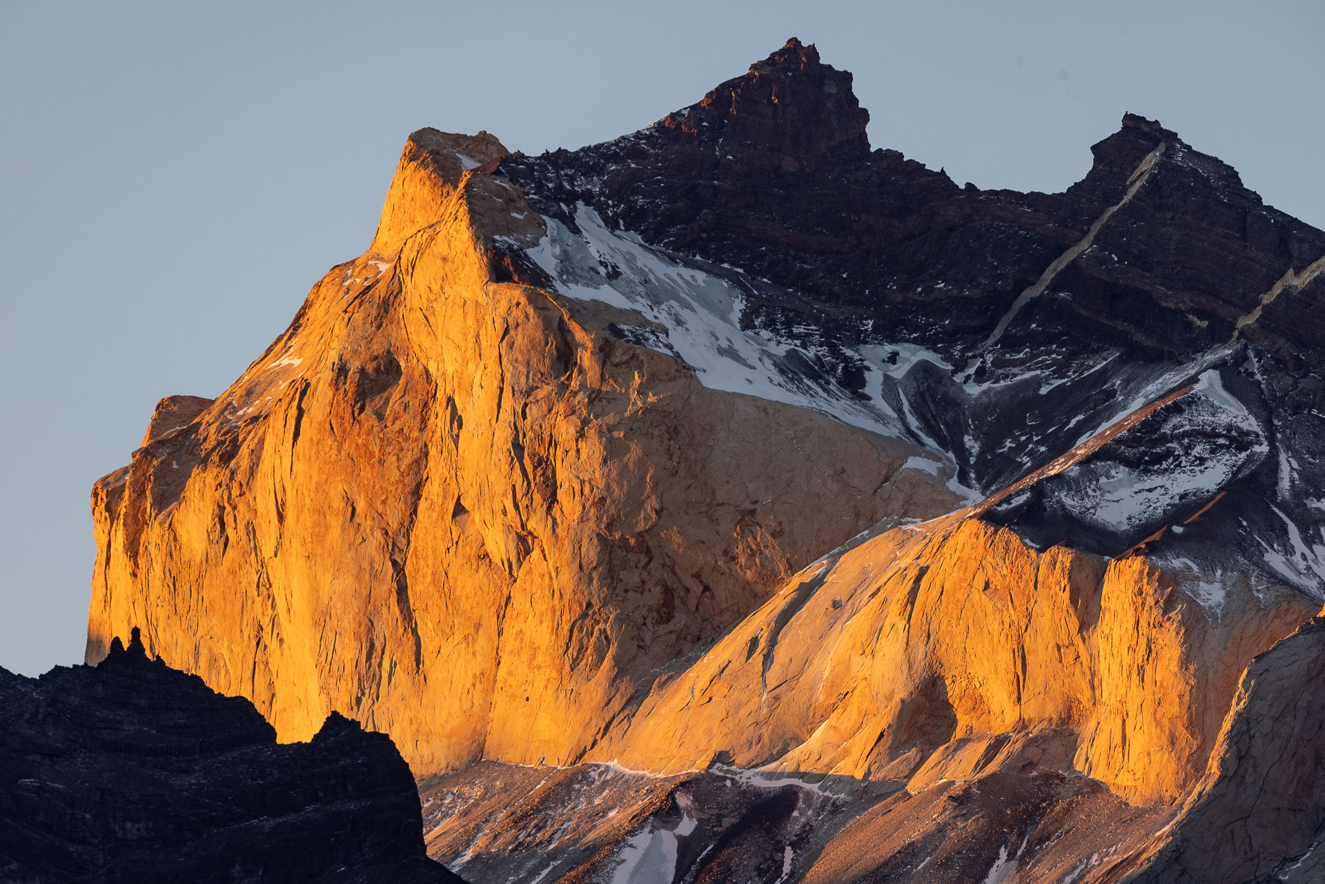 Pumor och kondorer i Patagonien, Chile. Fotoresa med Wild Nature fotoresor. 