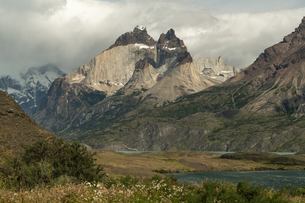 Pumor och kondorer i Patagonien, Chile. Fotoresa med Wild Nature fotoresor. 