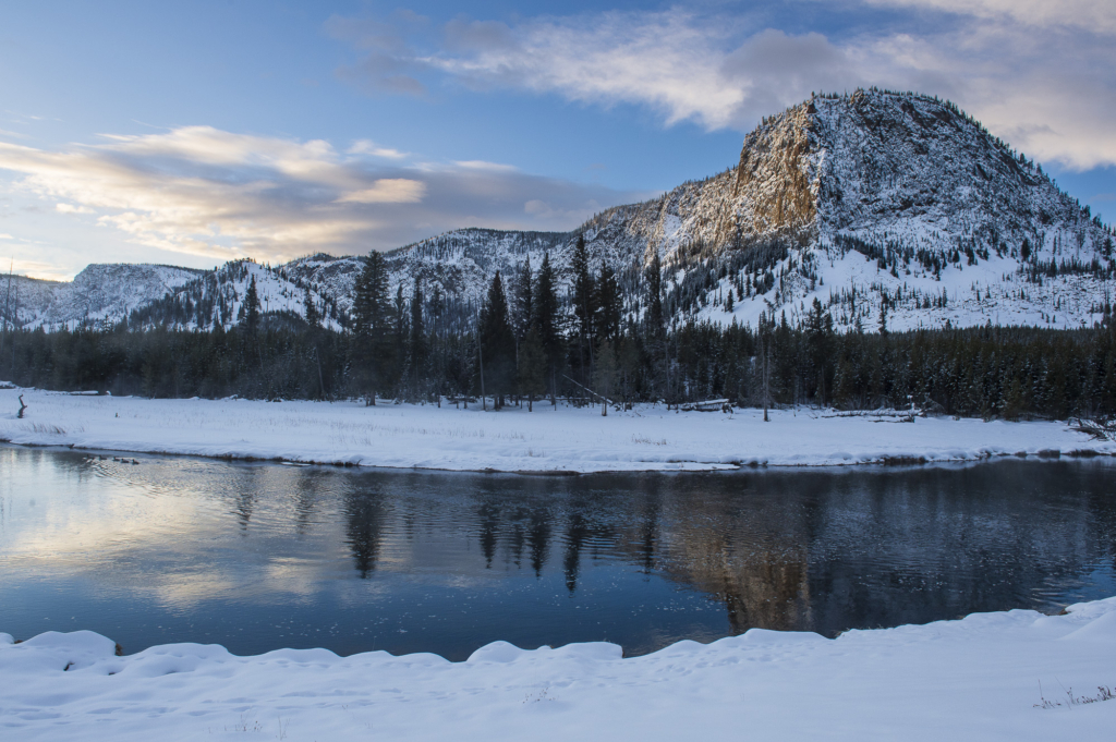 Vinter i Yellowstone NP. Fotoresa med Wild Nature fotoresor. Foto: Henrik Karlsson