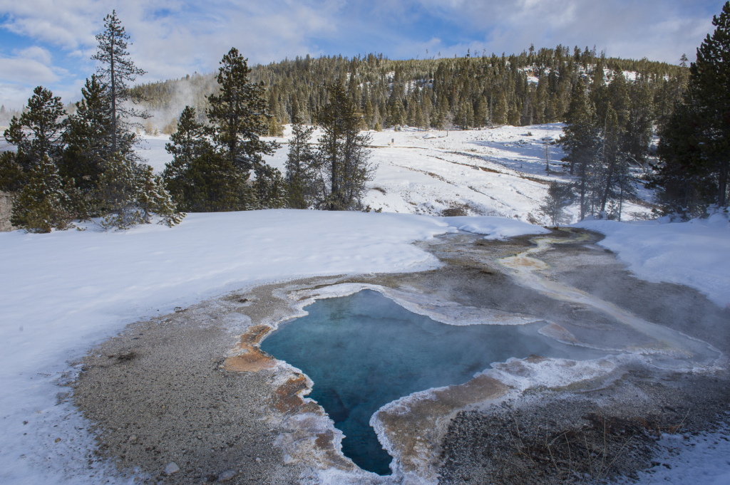 Vinter i Yellowstone NP. Fotoresa med Wild Nature fotoresor. Foto: Henrik Karlsson