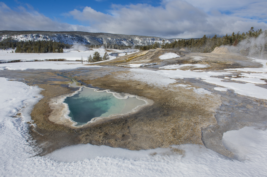 Vinter i Yellowstone NP. Fotoresa med Wild Nature fotoresor. Foto: Henrik Karlsson