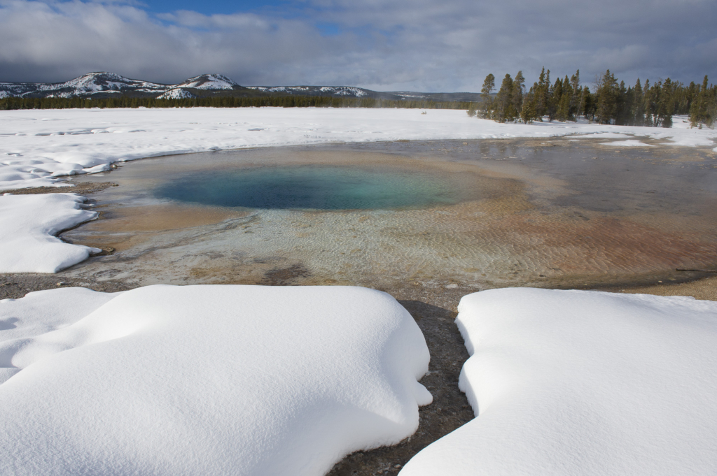 Vinter i Yellowstone NP. Fotoresa med Wild Nature fotoresor. Foto: Henrik Karlsson