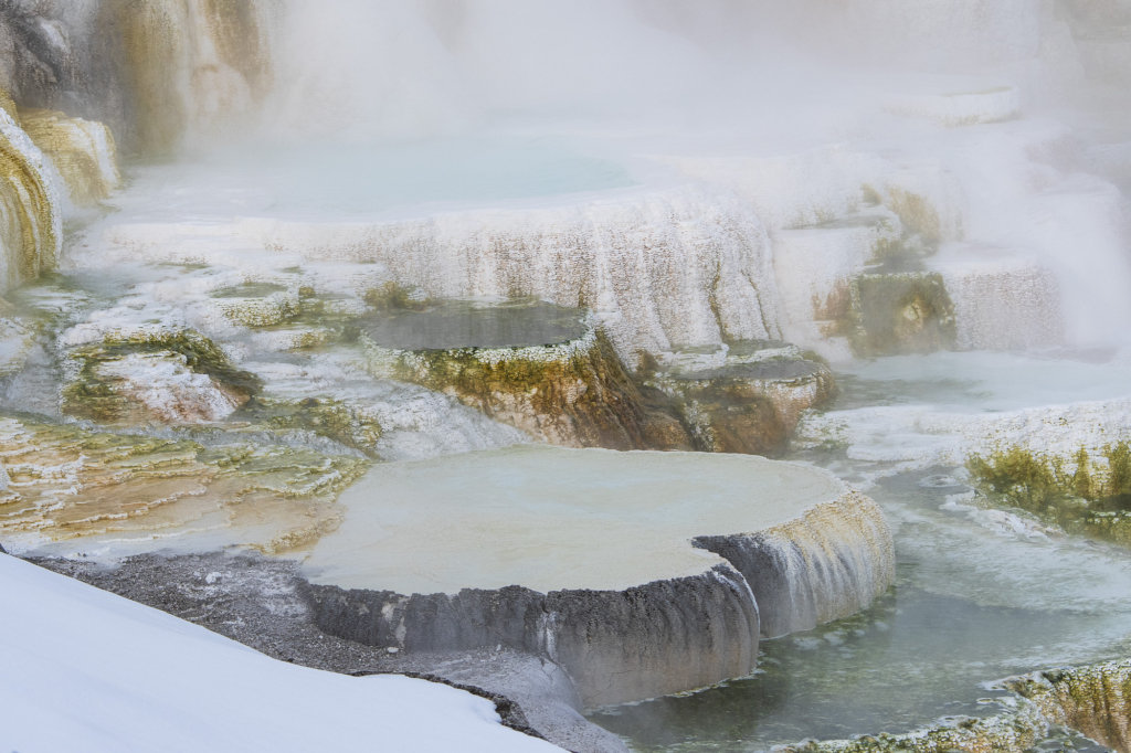 Vinter i Yellowstone NP. Fotoresa med Wild Nature fotoresor. Foto: Henrik Karlsson