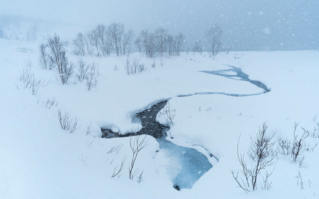 Magical Senja in Norway. Photo tour with Wild Nature Photo Adventures. Photo by Floris Smeets