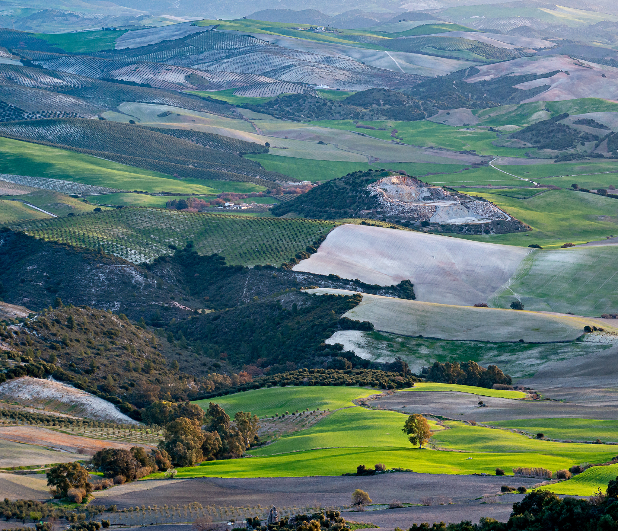 Böljande jordbrukslandskap fotograferat i Andalusien av Anja Baklien på fotoresa med Wild Nature fotoresor.