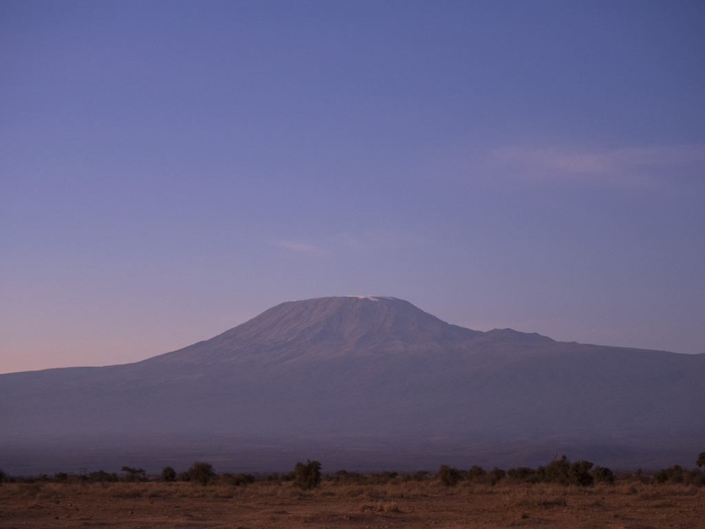 Elefanter vid Kilimanjaro, Amboseli NP, Kenya. Fotoresa med Wild Nature fotoresor. Foto Henrik Karlsson