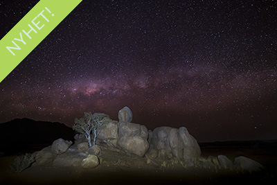 Ökenlandskap, stjärnhimlar och spännande djurliv - Namibia. Fotoresa med Wild Nature fotoresor. Foto: Henrik Karlsson