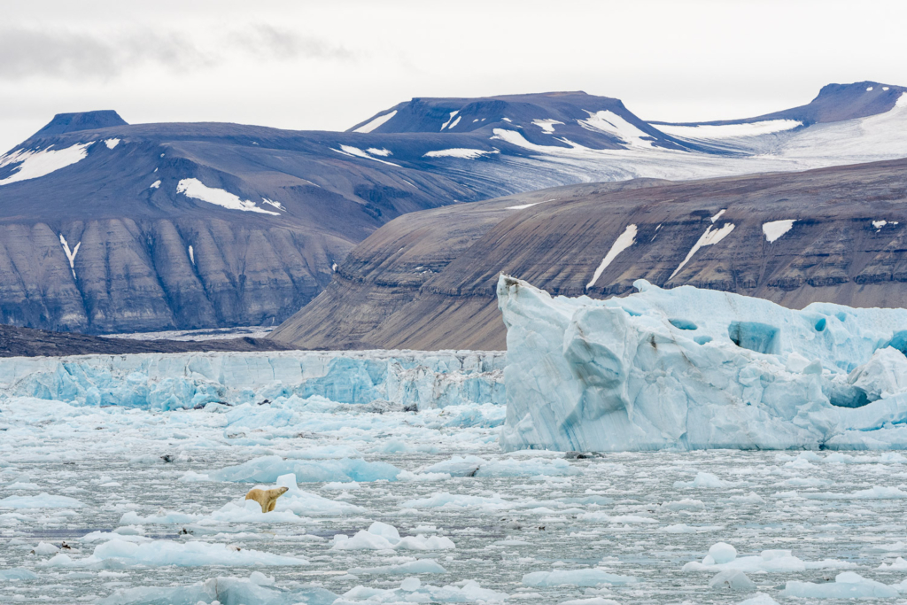 Fotoexpedition till isbjörnens rike, Svalbard. Fotoresa med Wild Nature fotoresor. Foto Floris Smeets