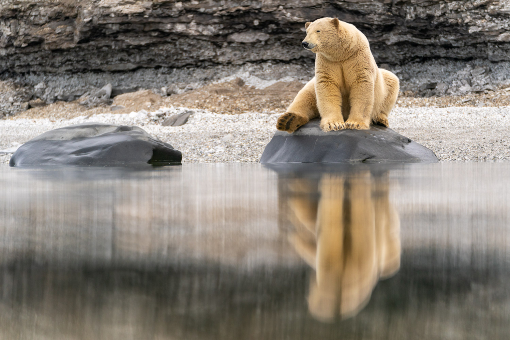 Fotoexpedition till isbjörnens rike, Svalbard. Fotoresa med Wild Nature fotoresor. Foto Floris Smeets